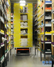 中國海淘熱帶火亞馬遜生意